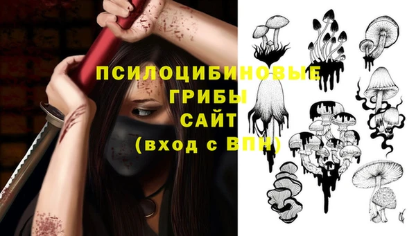 первитин Абаза