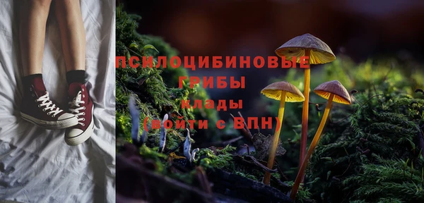 a pvp Абинск