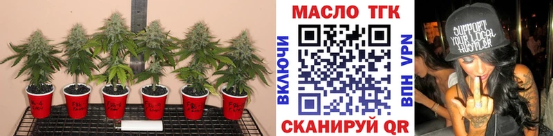 мориарти клад  Чулым  ТГК Wax  даркнет сайт 